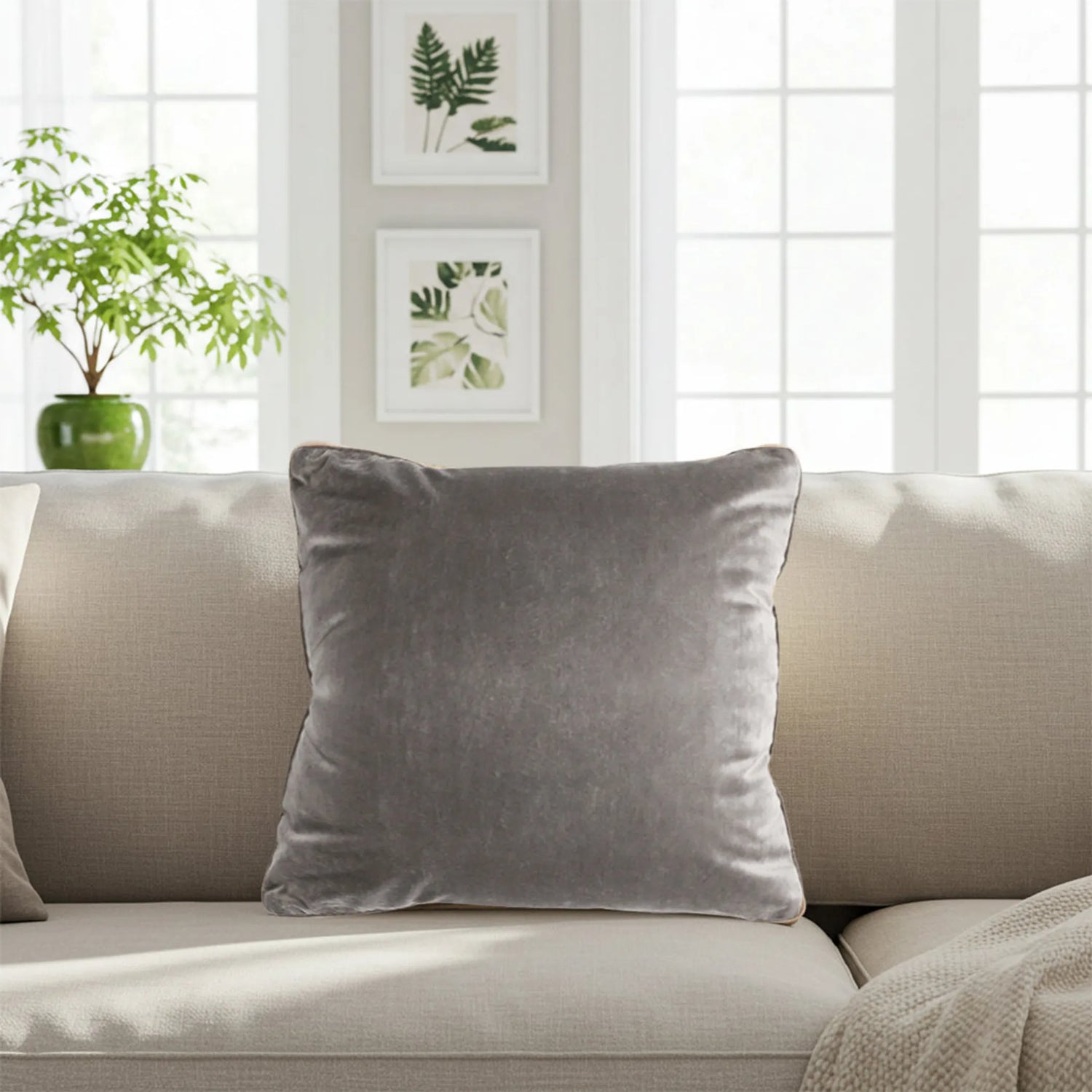 Dove Gray Velvet Pillow Cover – Soft, Elegant & Modern SOGA