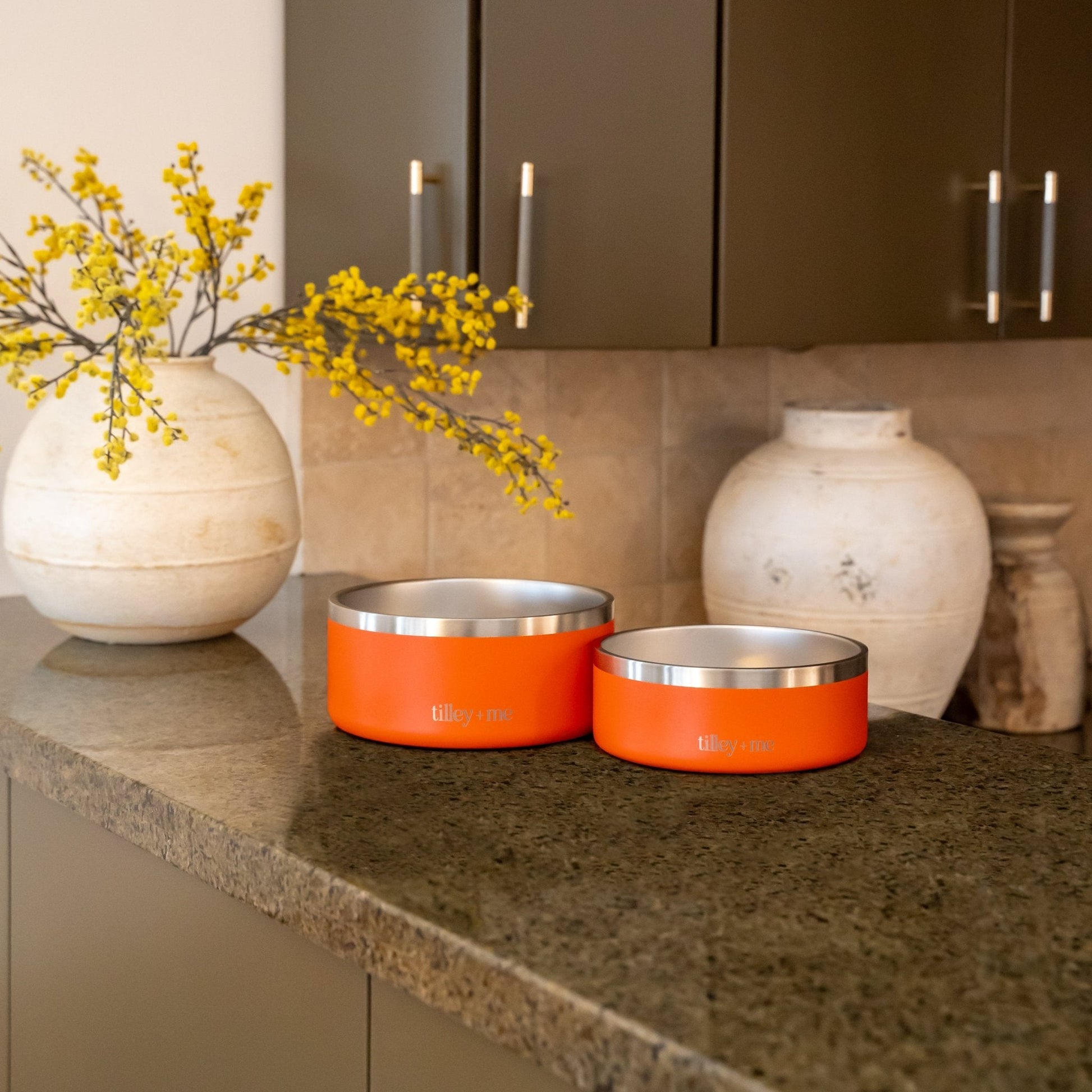 Tilley + Me Stainless Steel Pet Bowl – Non-Slip, Durable & Dishwasher Safe | 32oz and 64oz Tilley + Me