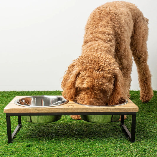 GF Pet Elevated Wood & Metal Feeder – Stylish, Durable & Easy to Clean GF Pet