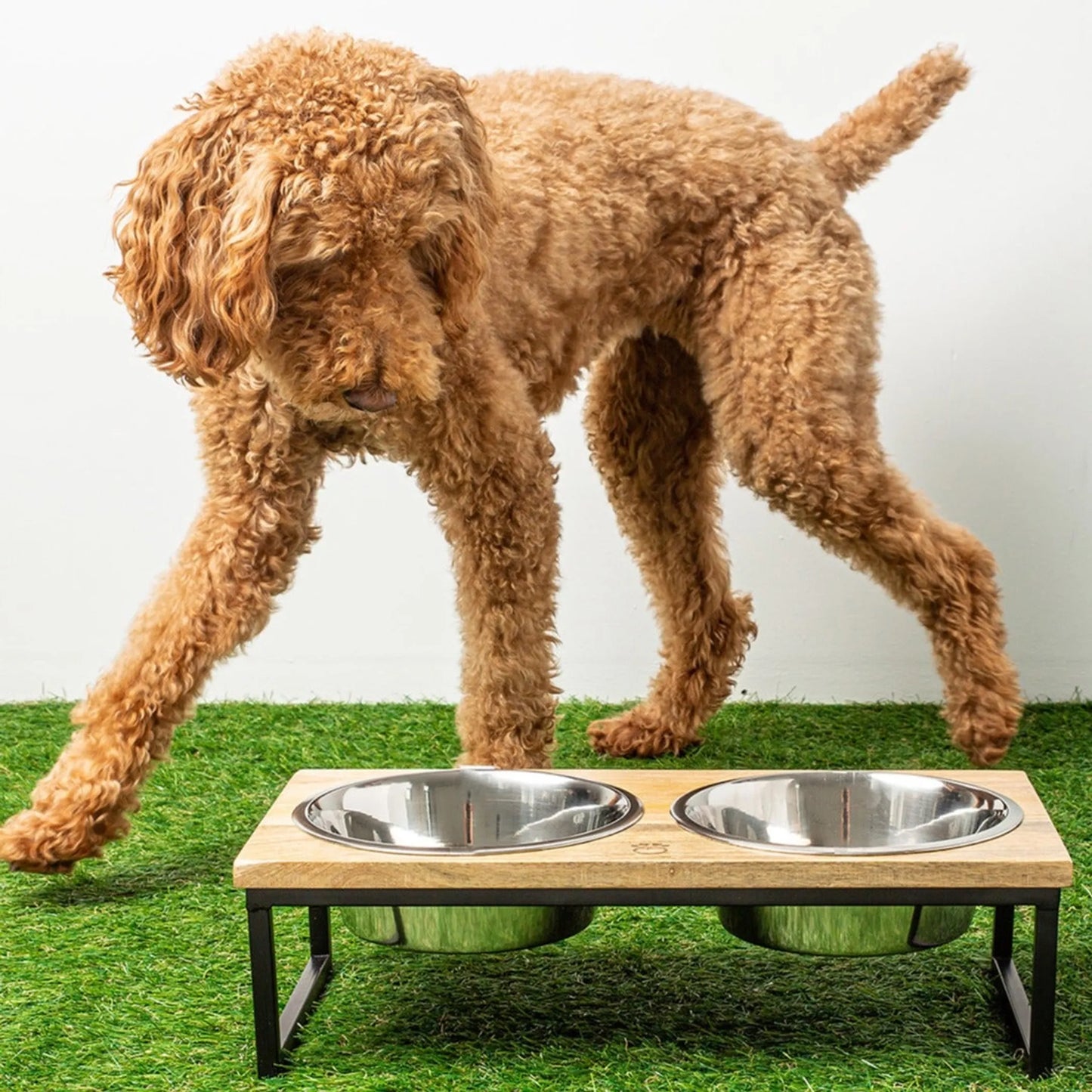 GF Pet Elevated Wood & Metal Feeder – Stylish, Durable & Easy to Clean GF Pet