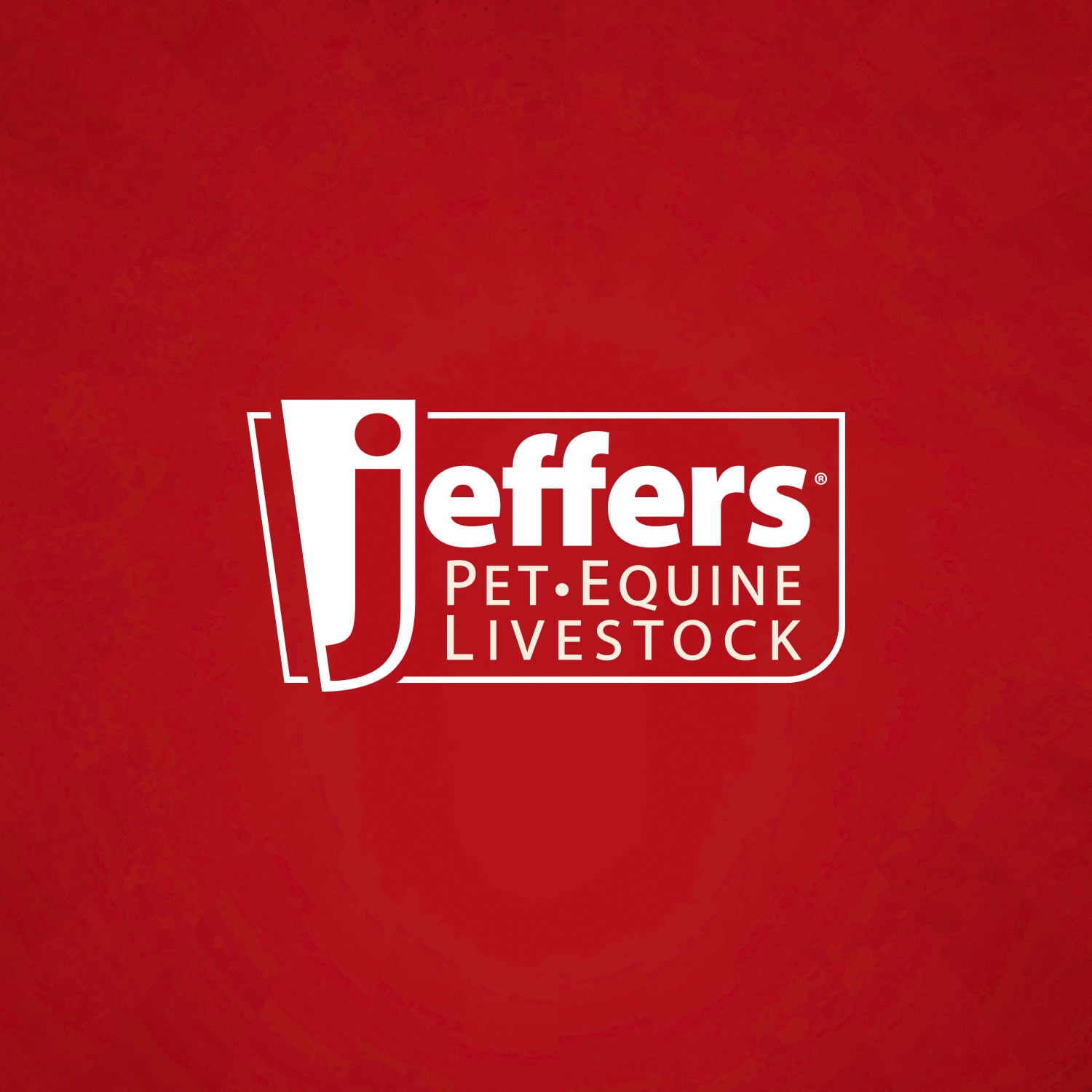Heavy Weight Stainless Steel Pet Bowl – Durable, Stable & Easy to Clean Jeffers