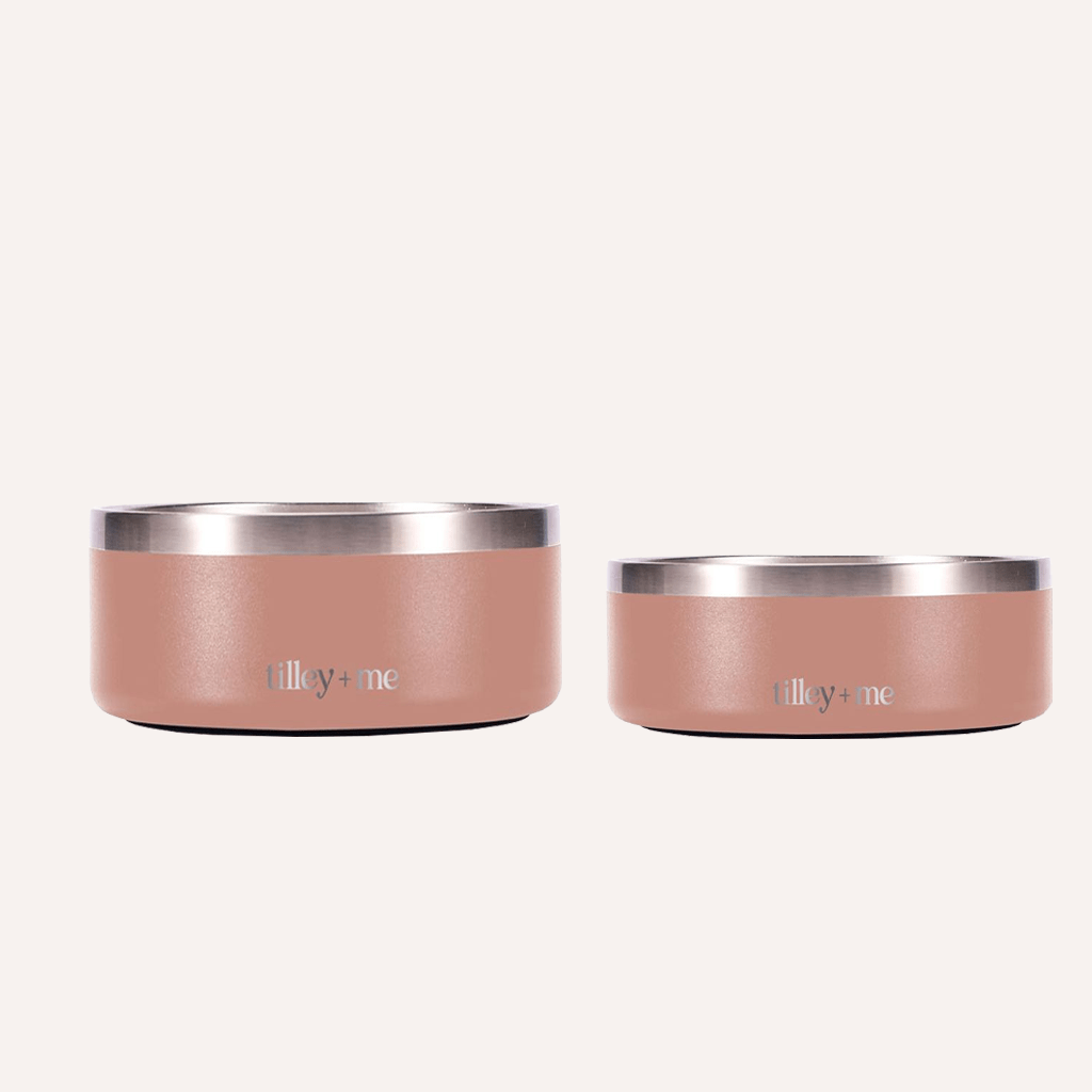 Tilley + Me Stainless Steel Pet Bowl – Non-Slip, Durable & Dishwasher Safe | 32oz and 64oz Tilley + Me