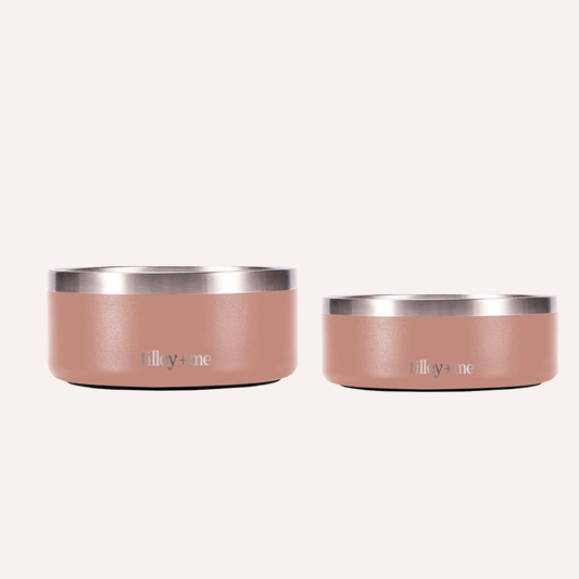 Tilley + Me Stainless Steel Pet Bowl – Non-Slip, Durable & Dishwasher Safe | 32oz and 64oz Tilley + Me