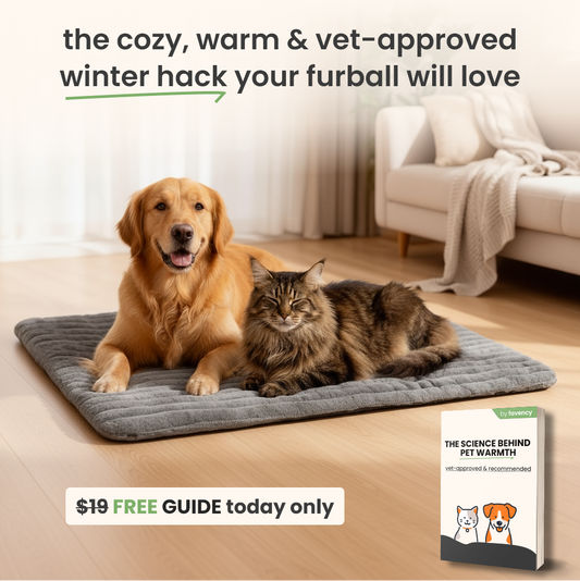 self-warming pet mat Favency