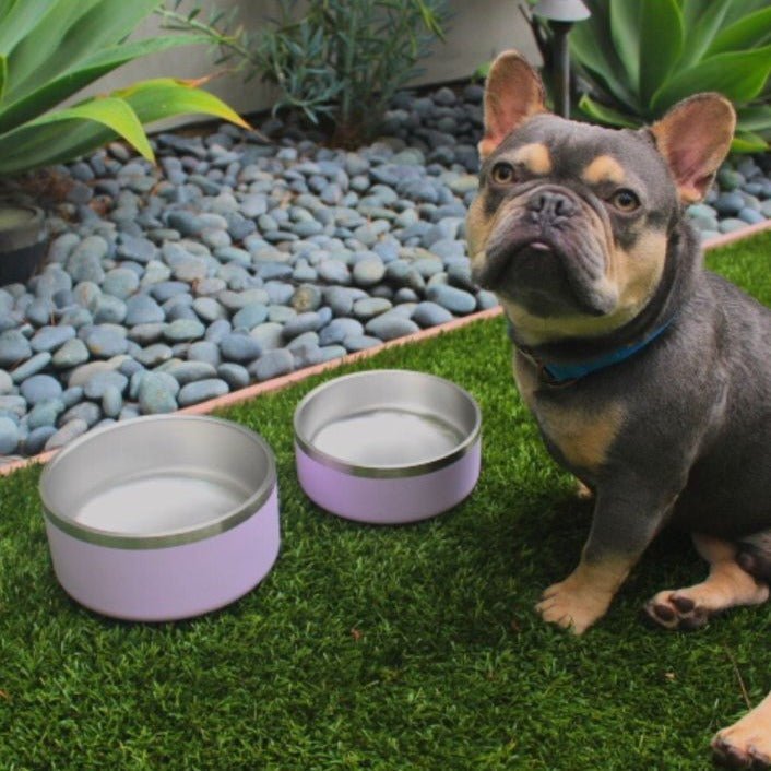 Tilley + Me Stainless Steel Pet Bowl – Non-Slip, Durable & Dishwasher Safe | 32oz and 64oz Tilley + Me