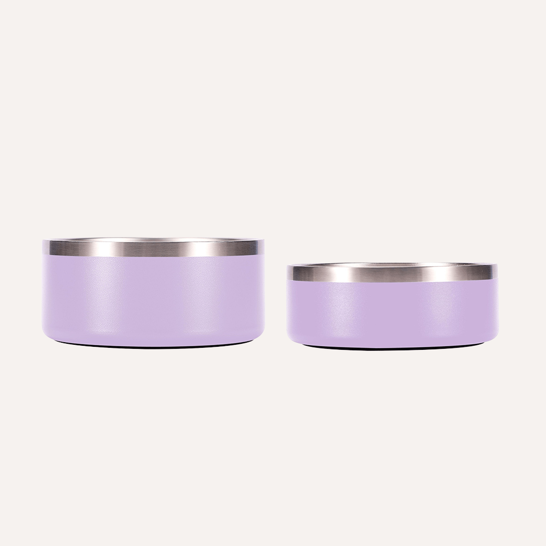 Tilley + Me Stainless Steel Pet Bowl – Non-Slip, Durable & Dishwasher Safe | 32oz and 64oz Tilley + Me