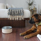 Tilley + Me Stainless Steel Pet Bowl – Non-Slip, Durable & Dishwasher Safe | 32oz and 64oz Tilley + Me