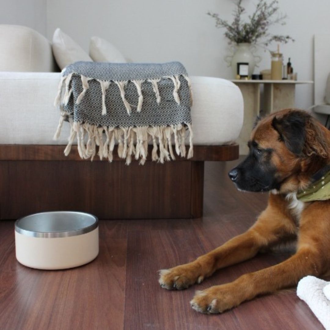 Tilley + Me Stainless Steel Pet Bowl – Non-Slip, Durable & Dishwasher Safe | 32oz and 64oz Tilley + Me